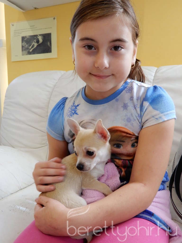 10 éves a Pethouse állatorvosi rendelő 19